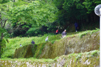 DSC03661