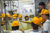 DSC04241