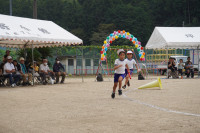 DSC00117